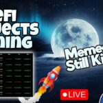 Big Gains on Cardano DeFi Tokens and Memes not Dead Yet