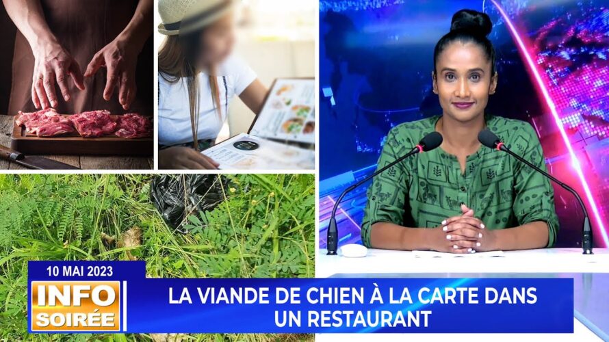 [Info Soirée] : «Travayer pe dir klian kontan spesialite toutou»