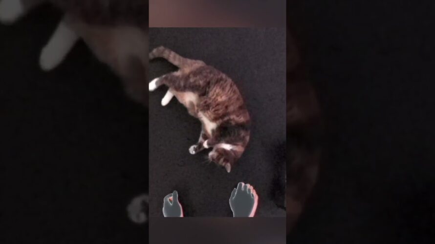 Oculus Quest has FEET TRACKING 2 #shorts #quest2 #vr