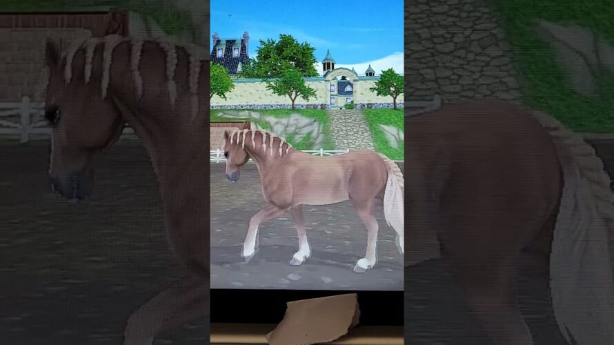 Welsch pony slow animations #sso #horse