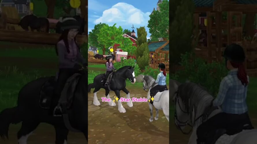 The ✨️Star Stable✨️ 🤦‍♀️ #sso #starstable #starstableonline #ssoedit #starfam #ssobug
