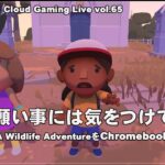 [Alba A Wildlife Adventure – 05] ChromebookとGeForce NOWでPCゲーム（@OfficeKabu. Cloud Gaming Live vol.65）