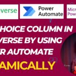 Add Choices in Dataverse By Power Automate Dynamically
