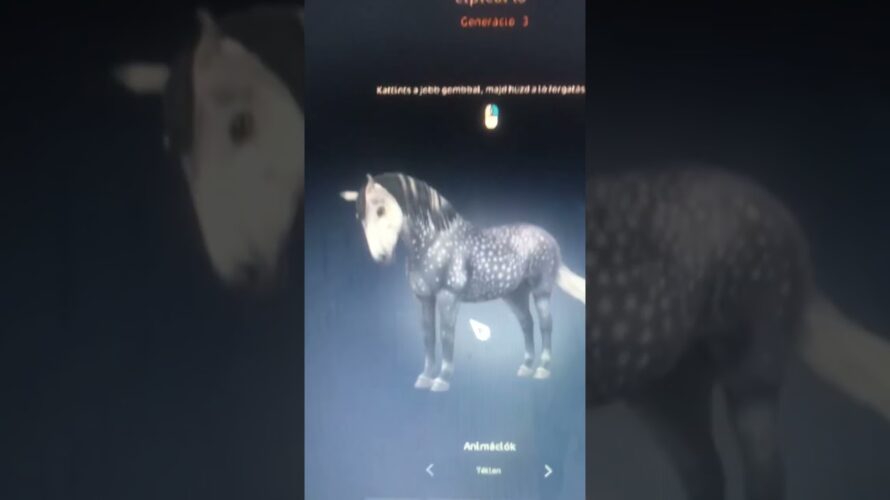 🥲🥲sso❤️🐎