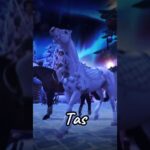 Sso Horse Is Dancing Star Stable Edit!😱 / Sso Short / Sso Edit #sso #starstable #shorts