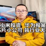 小米投资 华为报案 ；投小芯片公司，背行业大黑锅