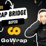 GoWrap: Escape the BRC20 Walls and Unleash DeFi Freedom