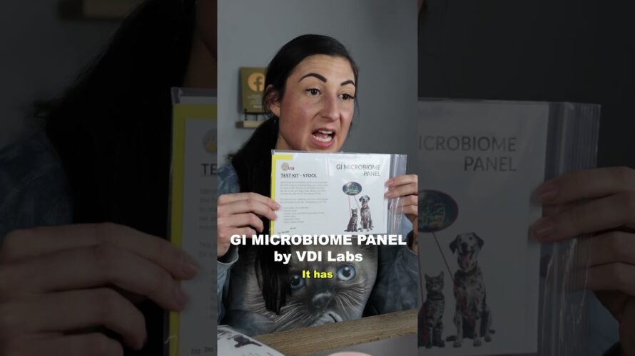 GI Microbiome Panel Test Kit by VDI Labs