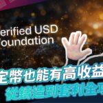 跟著躺賺系列，高收益DeFi 穩定幣USDV，從鑄造到套利全攻略 | 酷可實驗室