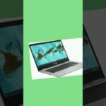 Asus Laptop:  Chromebook Laptop C425 with 128 GB4, GB ( Buy Now)