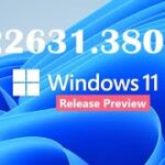 Cumulative Update Preview for Windows 11 Version 23H2 for x64-based Systems (KB5039302) 22631.3807