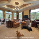 Great Danes & Cat Watch DIY Drapery Repurpose Art Studio Project Progress