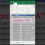 Shortcut to Apply and remove filter in excel-1