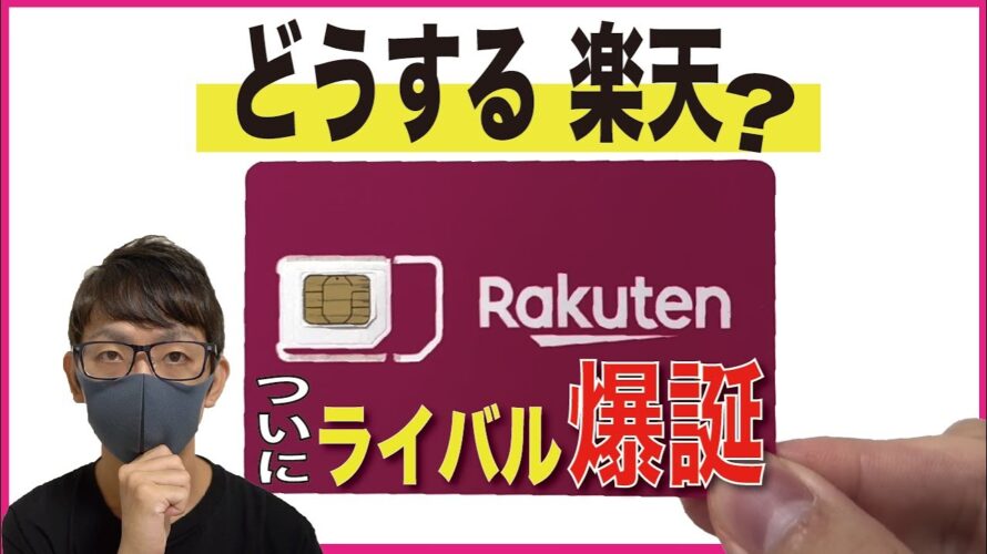 【どっちが最強?】楽天モバイルに対抗する激強プランが爆誕!【ラインモ/LINEMO/新プラン/ベストプラン】