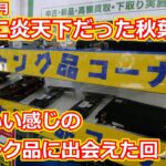 【アキバ散策】ChromeBookがまさかのお値段！？結構いい感じのジャンクに出会うことができた2024年6月の秋葉原散策動画！【ジャンク】