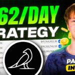 $262 Per Day in DeFi Passive Income from VFAT (Full Strategy Revealed)
