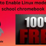 How to enable Linux mode on school chromebook
