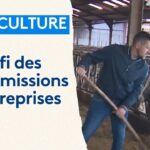 Le défi de la transmission agricole