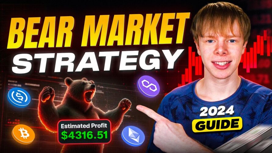 My 2024 DeFi Bear Market Strategy (Crypto)