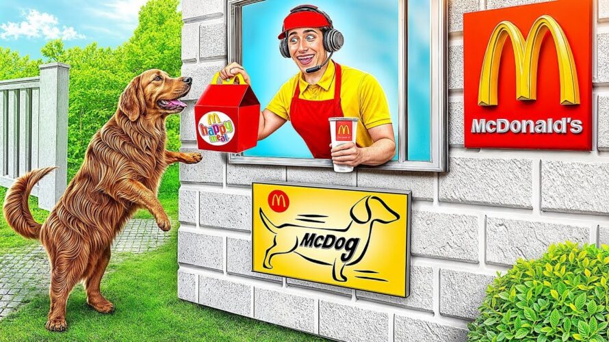 Maison Une Couleur Défi McDonald’s vs Crème Glacée vs Beignets | Défi Fou par Multi DO Smile
