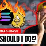 Yield Farming in a Bear Market? (Defi Passive Income)