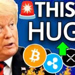 🚨HUGE CRYPTO NEWS! TRUMP DEFI, RIPPLE XRP RLUSD, RUSSIA BITCOIN MINING, DEMOCRATS CRYPTO!