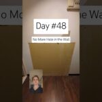 Day 48 of Japanese House Renovation: No More Hole in the Wall #japanesehouse #diy #diyrenovation