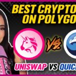 The best CRYPTO dex on Polygon! (UNISWAP vs QUICKSWAP)