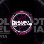 Polkadot Core Chain Weekly Stats 🚀