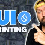 $23,529 of free SUI (Defi Passive Income Strategy)