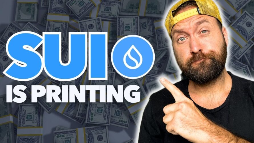 $23,529 of free SUI (Defi Passive Income Strategy)