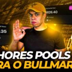 💰AS MELHORES POOLS DEFI PARA O BULLMARKET 2025! 🤑 RENDA PASSIVA COM CRIPTOS