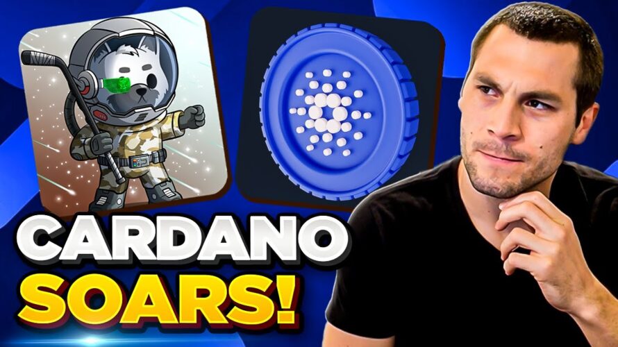 Cardano Up 42% and DeFi Heats Up! | Episode 142