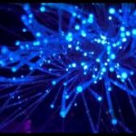 理研の光量子コンピュータがニュースになっていたので解説してみます。