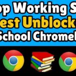 NEW Fresh WORKING Best Unblocker For SCHOOL Chromebook (2024) || New WORKING Proxy For SCHOOL (2024)