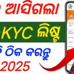 ଏବେ ଆସିଗଲା ekyc list/How to chek subhadra yojana e-KYC List CSC/subhadra yojana e-KYC list csc 2024