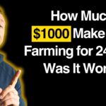 My $1000 Defi Portfolio Earnings After 24 Hours Yield Farming.