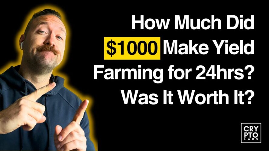 My $1000 Defi Portfolio Earnings After 24 Hours Yield Farming.