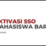 Sosialisasi Aktivasi Single Sign On SSO & Layanan TI Direktorat PuTI TA 2024 2025 Genap