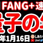 えーっ！2025年は量子コンピューターの年なのおォォォ！