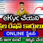 రేషన్ కార్డు eKyc 4 రకాలు | AP Ration Card eKyc Status | Ration Card eKyc Status | @ViralVasu