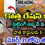 AP రేషన్ కార్డ్ -Ekyc Update/Splitting Option|Ap Ration Cards Splitting Option|Ap Ration Cards Ekyc|