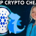 DeFi on Cardano: How to Find the Best Swap Prices