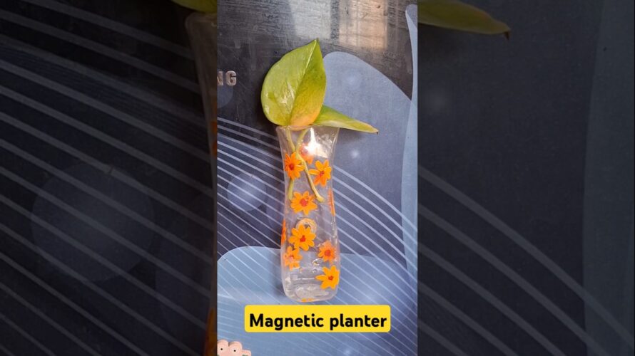 Diy magnetic planter from gulab jal bottle#shorts#youtubeshorts