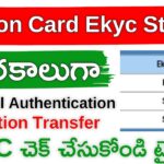 How to Check Ration Card Ekyc Status Online | Ration Card Ekyc in Andhra Pradesh