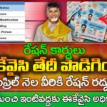 ఏప్రిల్ నెల వీరికి రేషన్ రద్దు | AP Ration Card eKyc Staus Online | AP Ration Card | @ViralVasu