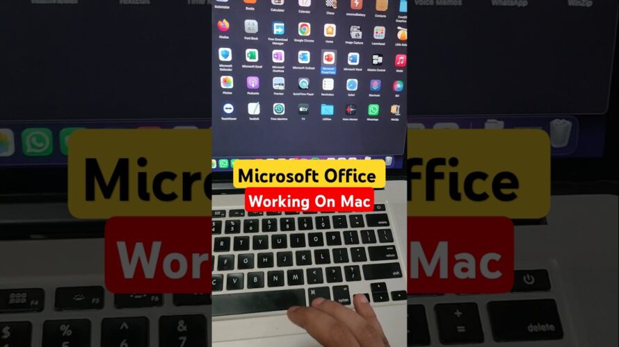 Microsoft Office Working on MacBook | Word Excel PowerPoint Office 365 Macos