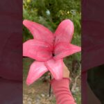 DIY Lily 🍓🫧✨ #diy #viral #pastelmess #trendingshorts #enjoy #lily #craftideas