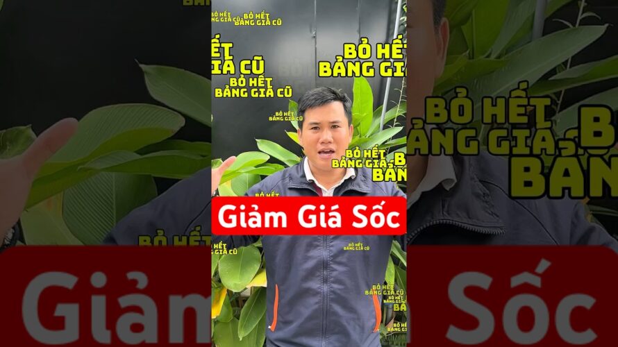 Khuyến mãi sốc tháng 6 #trendingshorts #wifi #wifi6 #internet #internetfpt #phufpt