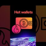 Crypto Wallet’s Explained